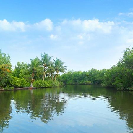 Global Lake Villa Хіккадува Екстер'єр фото