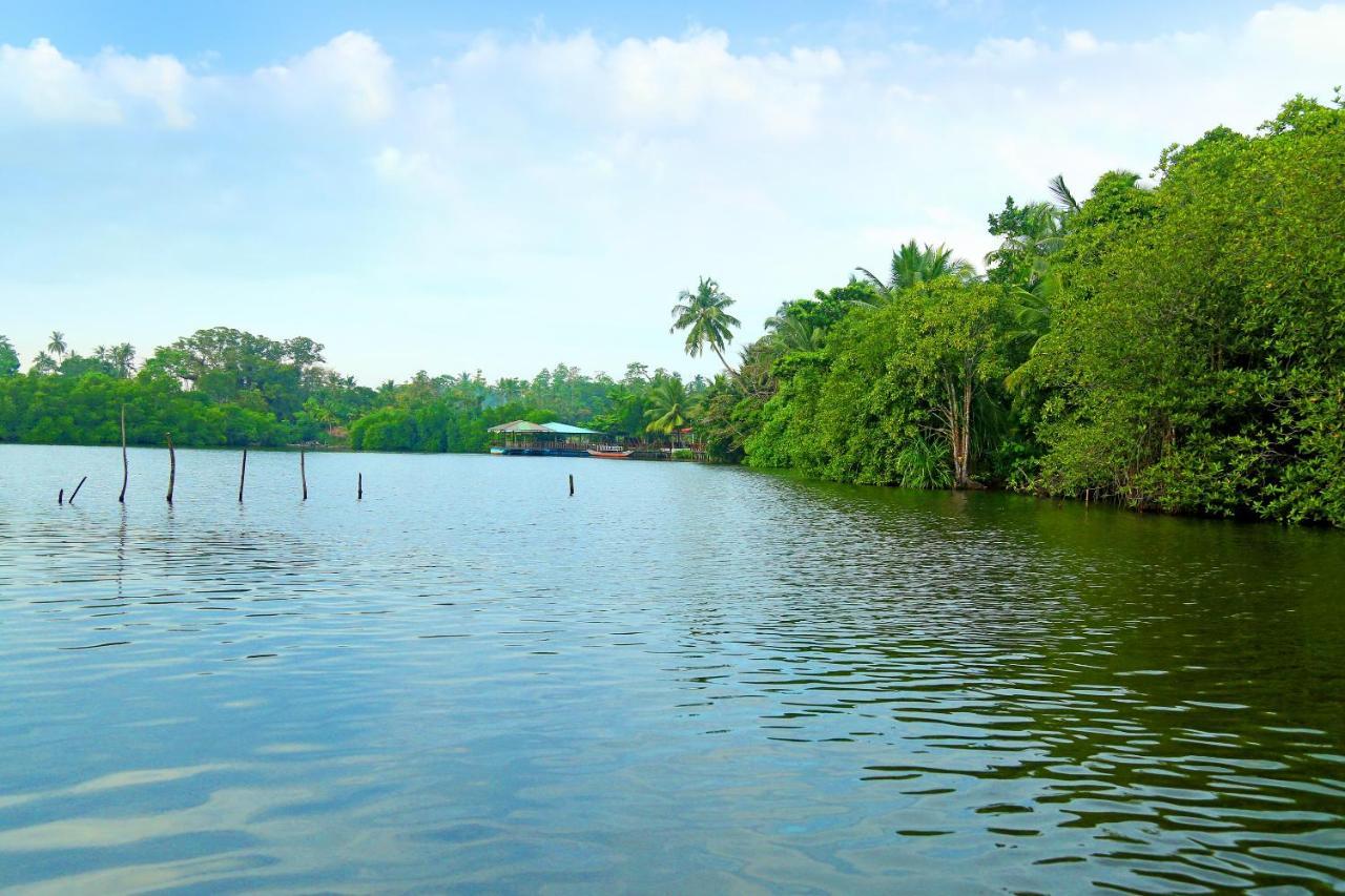 Global Lake Villa Хіккадува Екстер'єр фото